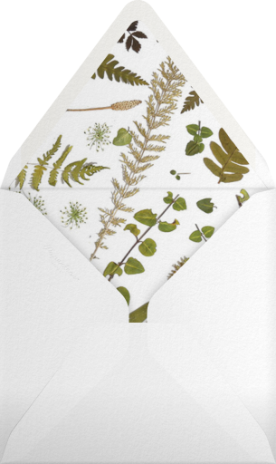 Boyceau Bridal - Paperless Post Envelope