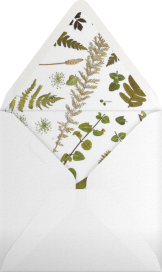 Boyceau Bridal - Paperless Post Envelope