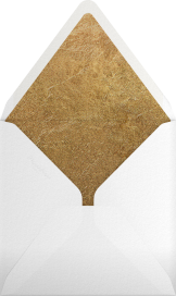 Moondance - Kelly Wearstler Envelope