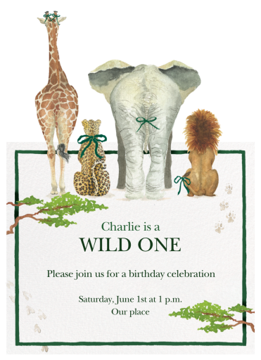 Safari Bows - First Birthday Invitation by Clementina Sketchbook