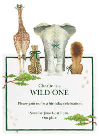 Safari Bows by Clementina Sketchbook