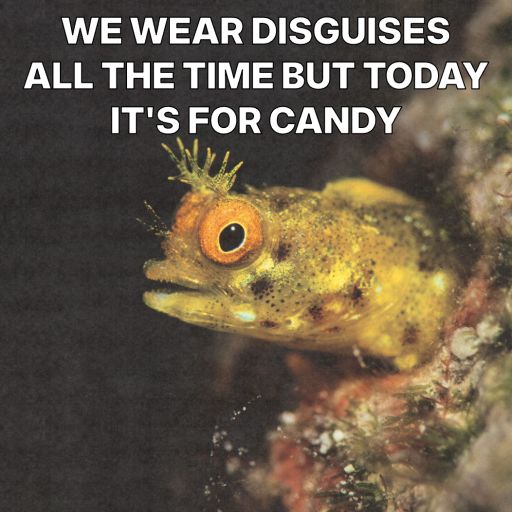 Spooky Fish | Send online instantly | Free tracking