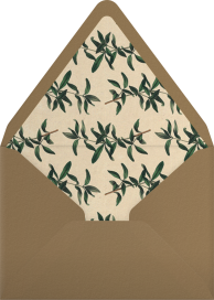 Balaustine - John Derian Envelope