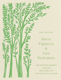 Louisa I (Save The Date) - Save the Date by Paperless Post