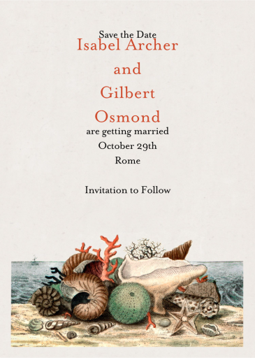 Shells Still Life by John Derian