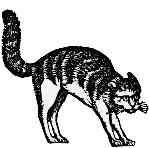 Witch's Cat - Invitation by John Derian