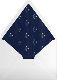 Full-Page Photo Tall (Double-Sided) - Paperless Post Envelope