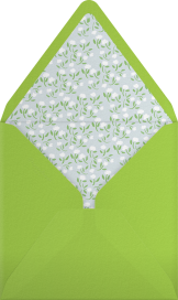 Peonies - Paperless Post Envelope
