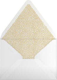 Flip (Tall) - Kelly Wearstler Envelope