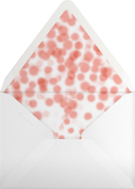 Double Bubble - Crate & Barrel Envelope