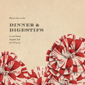 Striped Carnations by John Derian