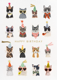 Cool Cats - Birthday Card by Rifle Paper Co.