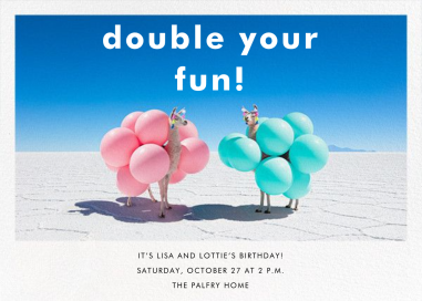 Llama Llama by Gray Malin