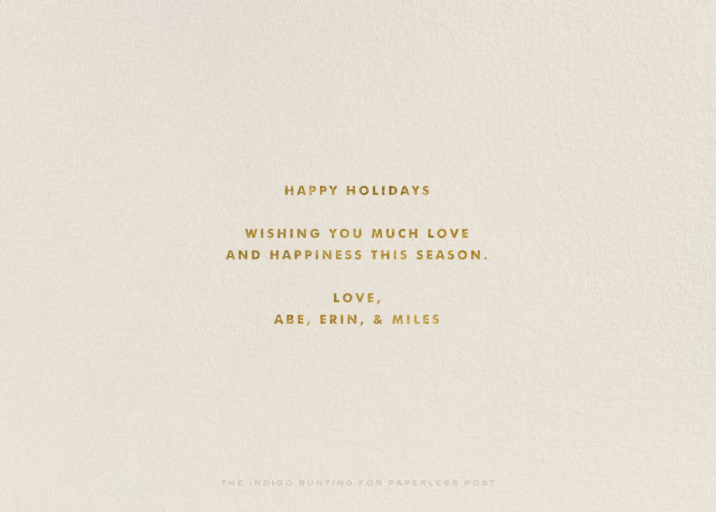 Exclamation Marks - Holiday Card by The Indigo Bunting - Back