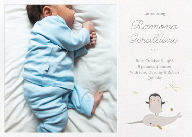 Arctic Circle (Photo) - Announcement by Little Cube