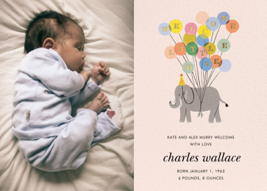 Welcome Elephant Announcement by Rifle Paper Co.