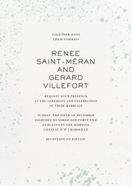 Splatter Cloth II by Paperless Post