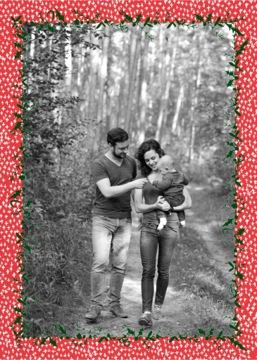 Holly on the Banister by Mr. Boddington's Studio