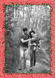 Holly on the Banister by Mr. Boddington's Studio