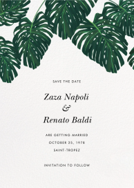 Monstera (Save the Date) by Paperless Post