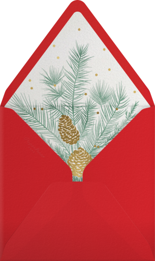 Happy Happy Joy Joy (Multi Photo) - Paperless Post Envelope