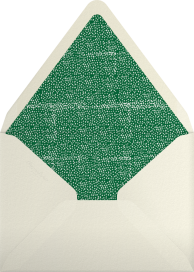 Regal Turkey - Mr. Boddington's Studio Envelope