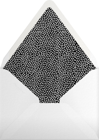 Flaunt - Kelly Wearstler Envelope