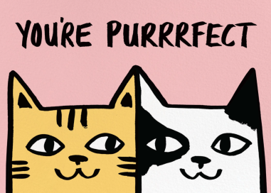 Purrrfect Cats (Alice Bowsher) - Valentine's Day Card by Wrap