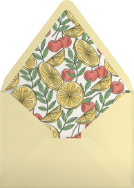 Nightcap - Martha Stewart Envelope