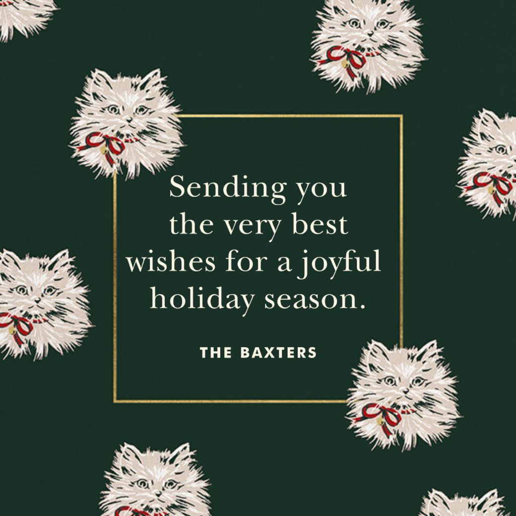 Ribbon Kitten Greeting Card Send online instantly Track opens