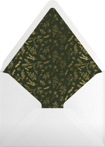 Beguiled - Paperless Post Envelope