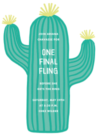 Cactus Hour by Meri Meri