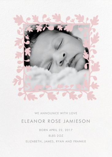 Ficus Photo (Announcement) by Linda and Harriett