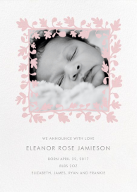 Ficus Photo (Announcement) by Linda and Harriett