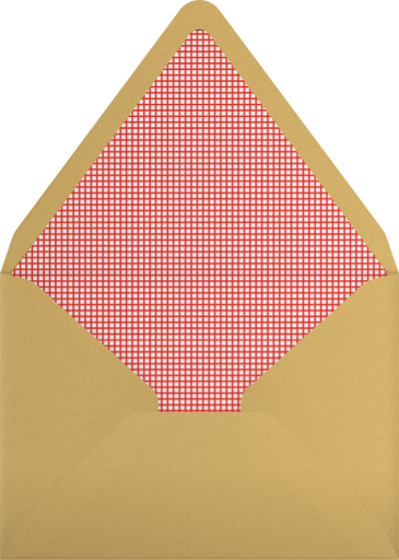 Party Hat - The Indigo Bunting Envelope