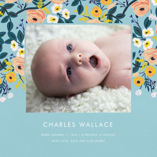 September Violets (Photo) by Rifle Paper Co.