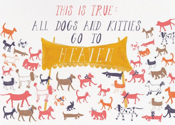 Doggie Heaven - Sympathy Card by Mr. Boddington's Studio