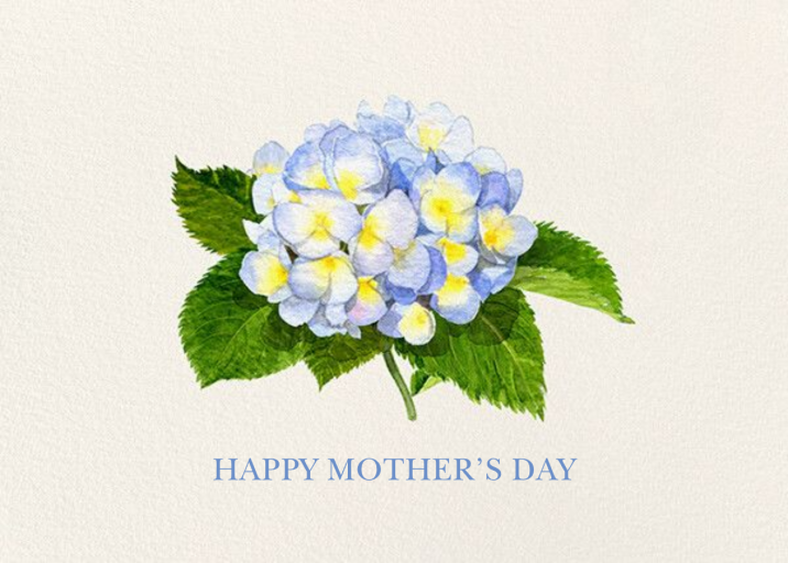 Blue Hydrangea - Mother's Day Card by Felix Doolittle
