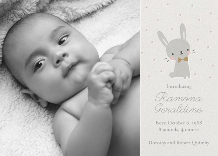 Baby Bunny Photo - Greeting Card by Little Cube