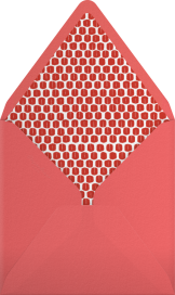 Ribbons for Baby - Mr. Boddington's Studio Envelope