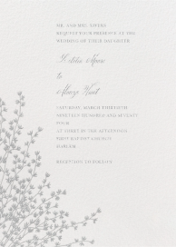 Forsythia Crane - Wedding Invitation by Crane & Co.