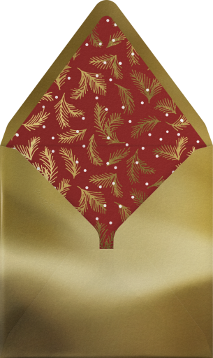 Snowy Sprigs Photo - Paperless Post Envelope