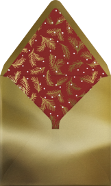 Snowy Sprigs Photo - Paperless Post Envelope