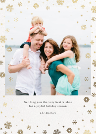 Snowfall - Christmas Card by Paperless Post
