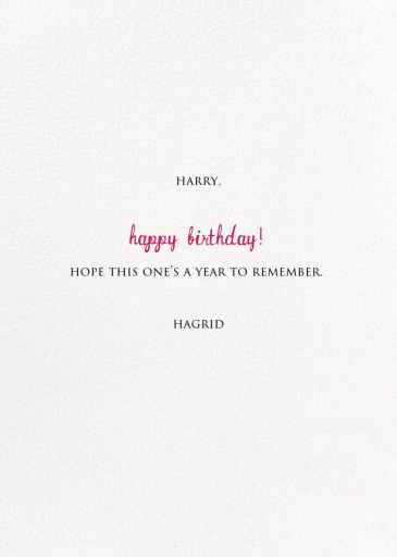 A Big Mackerel - Birthday Card by Mr. Boddington's Studio - Back