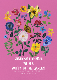 Les Coquelicots by Nathalie Lété