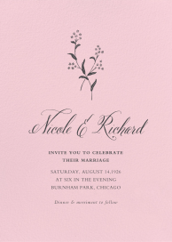 Blush by Paperless Post