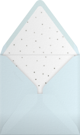 Snowflake Cutout - Paperless Post Envelope