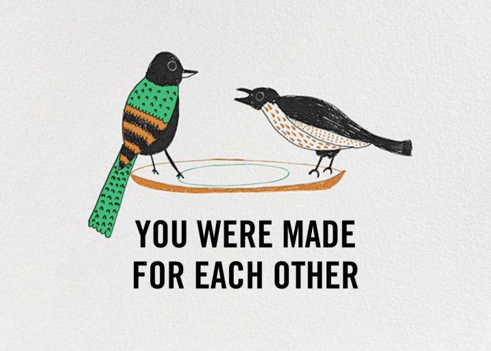 Bird Seed - Anniversary Card by Mr. Boddington's Studio