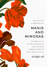 Painted Tulip by Carolina Herrera